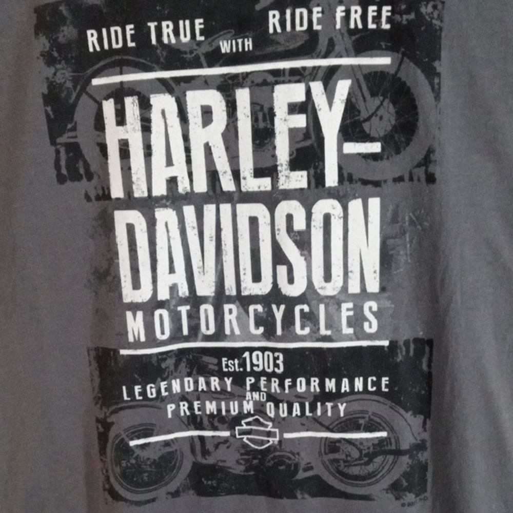 Harley-Davidson Gray Short Sleeve Ride True Ride Free Tee Men’s Large